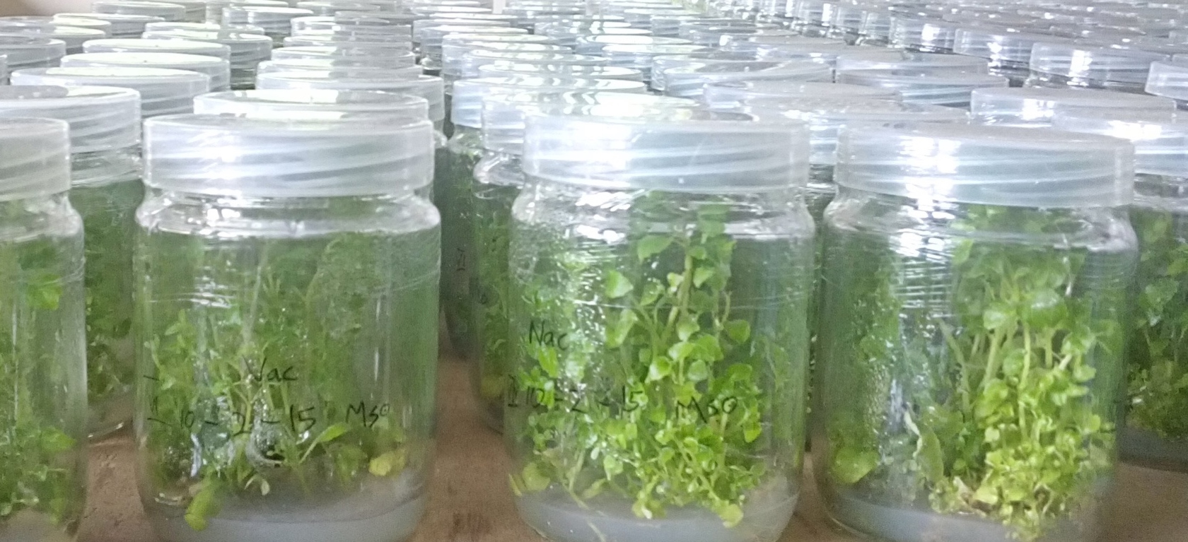 img_20150502_104310-copy