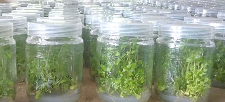 img_20150502_104310-copy