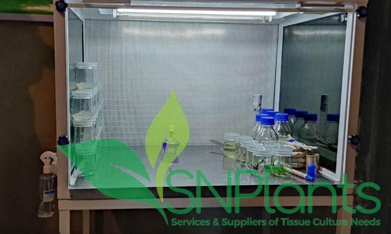 photo_2022-04-24_06-04-15